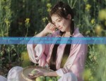 The Complete Guide to Hanfu Hair Ornamentation:Flower-Inserting Combs and Accessories