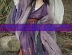 The Complete Guide to Traditional Hanfu Wedding Gowns:A Journey into Elegant Bridal Attire