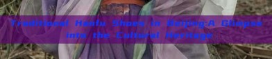 Traditional Hanfu Shoes in Beijing:A Glimpse into the Cultural Heritage