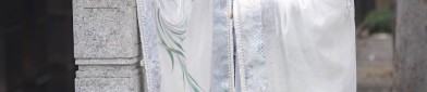 The Allure of Traditional Tang Costumes:Women Embracing the Beauty of Ancient China