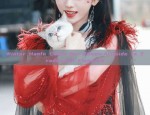 The Enchanting Pink Hanfu Lady
