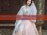 The Imperial Concubines Ancient Costume:A Glimpse into the Splendor of Traditional Chinese Gown