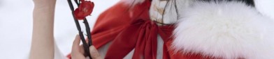 Childrens Horseface Skirt:The Art of Embroidery and Golden Threads