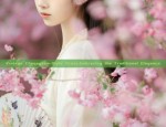 The Splendor of Ming-Style Hanfu:A Journey into Traditional Chinese Clothing