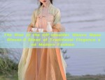 Ink Splashes of Traditional Chinese Splendor:The Rise of Hanfu Fashion