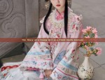 The Story of a Young Girl in a Thick Hanfu Costume