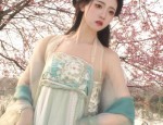 The Journey of a 12-Year-Old Girl Student into the Realm of Traditional Hanfu 汉服女)