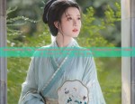 Inkstone and Silk:The Story of a Horseface Skirt in Traditional Chinese Culture
