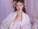 Traditional Hair Ornamentry:Exploring the Complete Set of Ancient Chinese Hanfu with Hair Combs