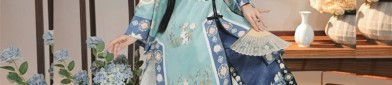 Traditional Chinese Style Top for Summer to Match with Horseface Skirt