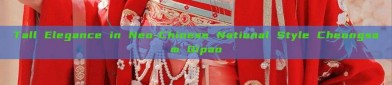 Tall Elegance in Neo-Chinese National Style Cheongsam Qipao