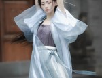 Embracing Traditional Elegance:The New Womens Tang-Style Chinese Costume