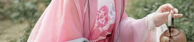 The Splendid Beauty of the Horseface Skirt and its螺钿Embroidery