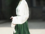 The Elegance of the Horseface Skirt in a Set:A Closer Look into Traditional Chinese Clothing
