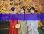 The Journey of a Primary Schoolgirl into the World of Hanfu Fashion