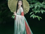 A Complete Guide to Traditional Waist-Length Hanfu Clothing