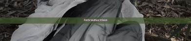 Introduction