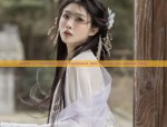 The Splendor of Traditional Chinese Wedding Headdresses in Hanfu Fashion