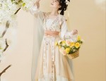 Elegant Hanfu Womens Blouse:A Single-Piece Fashion Statement