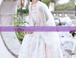 Adult Womens Summer Hanfu Costumes:A Glance into Traditional Elegance
