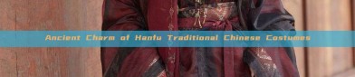Ancient Charm of Hanfu Traditional Chinese Costumes