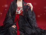 The Enigma of Ancient Costumes:A Journey Through Time