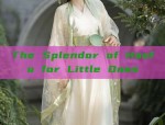 The Dominating Presence of a Hanfu Student in Traditional Attire
