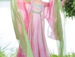 A Complete Guide to Traditional Waist-Length Hanfu Clothing