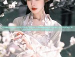 Ancient Costume Theme Intimate Apparel:Unveiling the Erotica of Traditional Elegance
