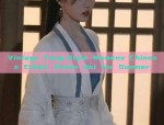 Vintage Tang-Style Womens Chinese Ethnic Dress Set for Summer