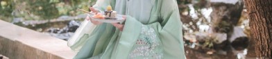The Splendor of Xia Dynasty Hanfu:Unraveling the Threads of Ancient Chinese Elegance