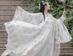Summer Elegance:The Girl in a Hanfu Skirt