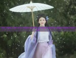 Astronomy and Traditional Chinese Costume:The Enchanting Twelve Zodiac in Hanfu Attire