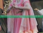 The Charm of Qipao Baby Dresses