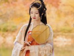 The Fabric of Tang-Style Hanfu:A Journey into the Textures of Traditional Chinese Clothing