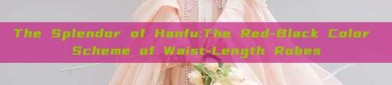 The Splendor of Hanfu:The Red-Black Color Scheme of Waist-Length Robes