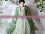 The Enchanting World of a Hanfu Girl:A Journey into a Different Realm