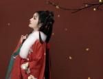Ethereal Beauty in Traditional Chinese Fashion:The Enchanting World of Hanfu for Women