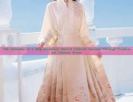 The Allure of Hanfu Fashion:The Elegant Fringes of Fans as Fashion Accessories