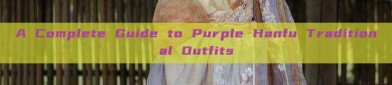 A Complete Guide to Purple Hanfu Traditional Outfits
