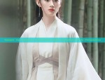 Elegant Long-Style Hanfu for Women:A Journey into Traditional Chinese Beauty