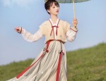 The Splendor of the National Museums Horseface Skirt:A Journey into Traditional Chinese Beauty