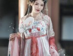 The Splendid Charm of Lotus-Inspired Hair Ornaments in Traditional Hanfu Fashion