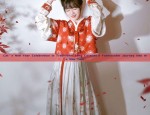 Cat’s New Year Celebration in Traditional Tang Costume:A Fashionable Journey into the New Year