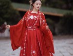 Phoenix Suit:The Magnificent Journey of Hanfu in a Full-Bloomed Splendor