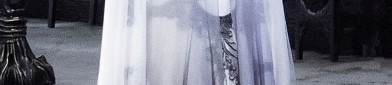 Erotic Intimate Apparel:The Fusion of Seduction and Traditional Chinese Elegance in Hanfu Fashion