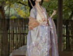 New Year Celebration with Hanfu Hair Buns:A Glimpse into Traditional Chinese Culture