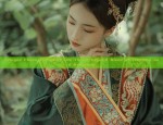 Starry Sky Twelve-Break Skirt:The Evolution of Traditional Hanfu Fashion