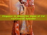 The Enchantment of Traditional Chinese Dress for a Three-Year-Old Girl