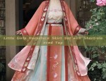 The Splendor of Ming-Style Hanfu:A Journey into Traditional Chinese Clothing